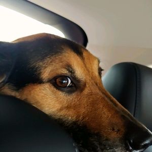 Meet your Posher, Paula